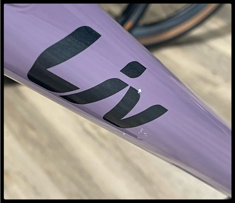 Liv Alight 2 DD Disc Small Purple Ash 2022-9